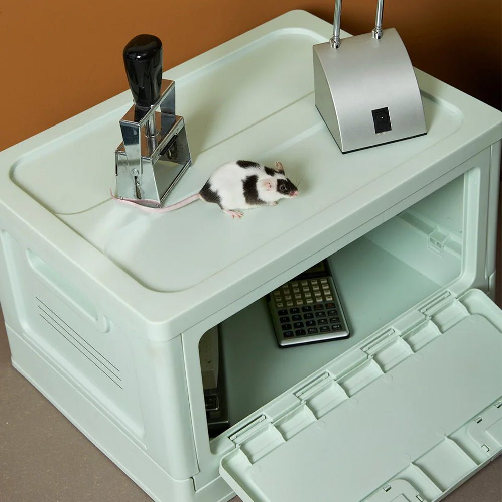 Boîte moyenne menthe