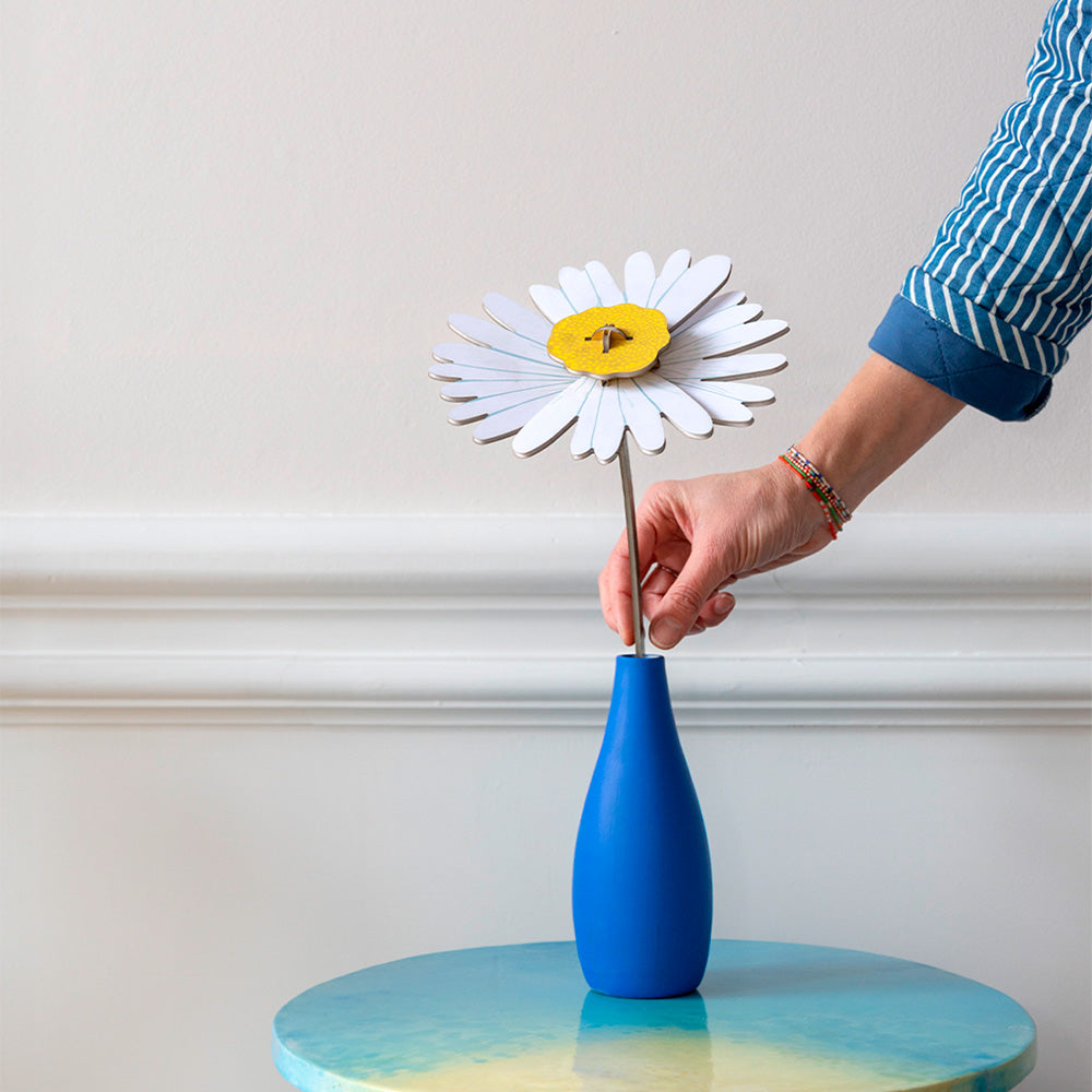 Everlasting Flowers - Daisy