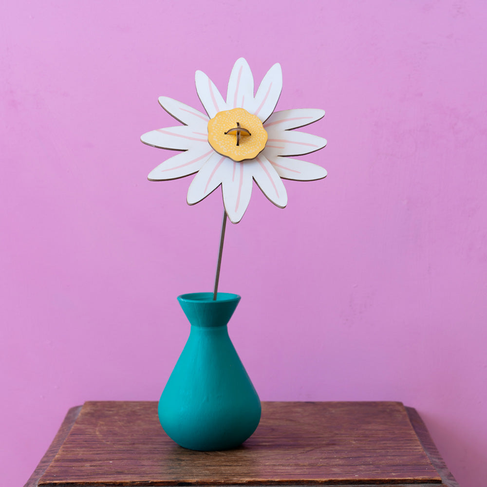 Small Everlasting Flowers - Meadow Daisy