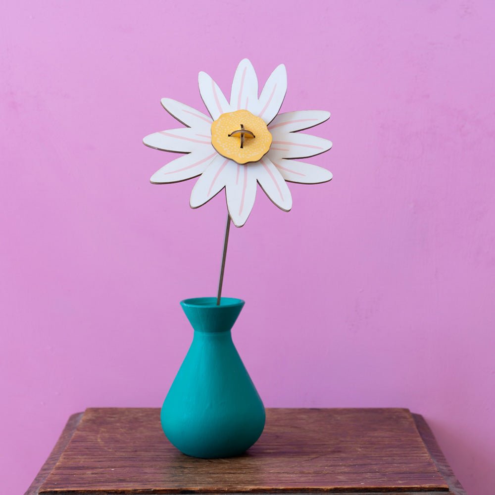 Small Everlasting Flowers - Meadow Daisy