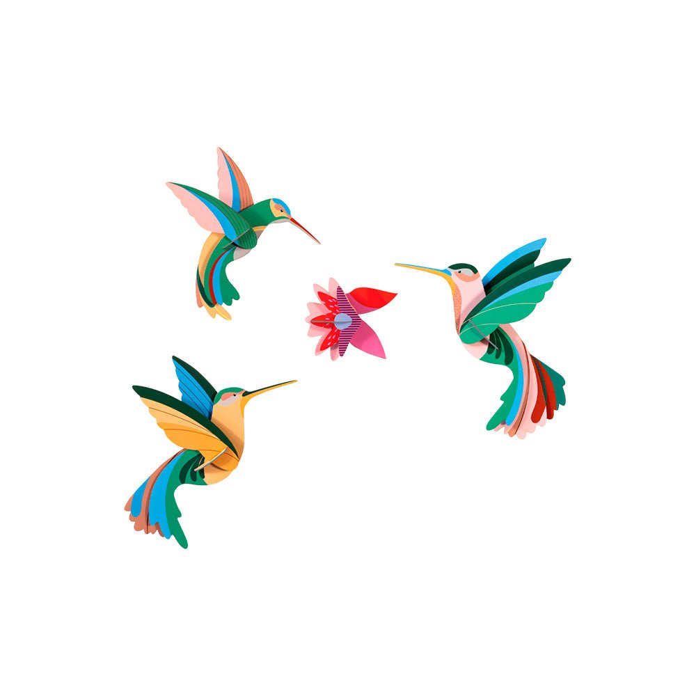 Paradise Bird - Dance of Hummingbirds