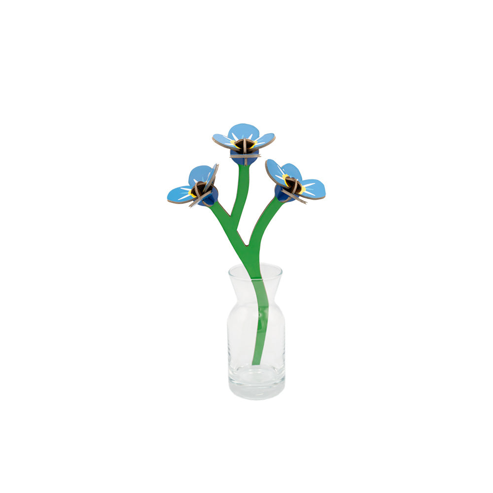 Small Everlasting Flowers - Forget-me-not