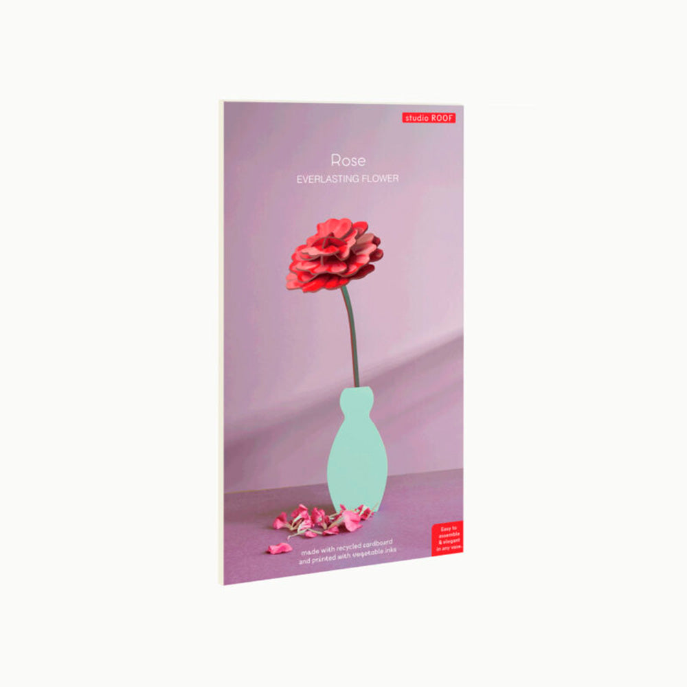 Everlasting Flowers - Rose