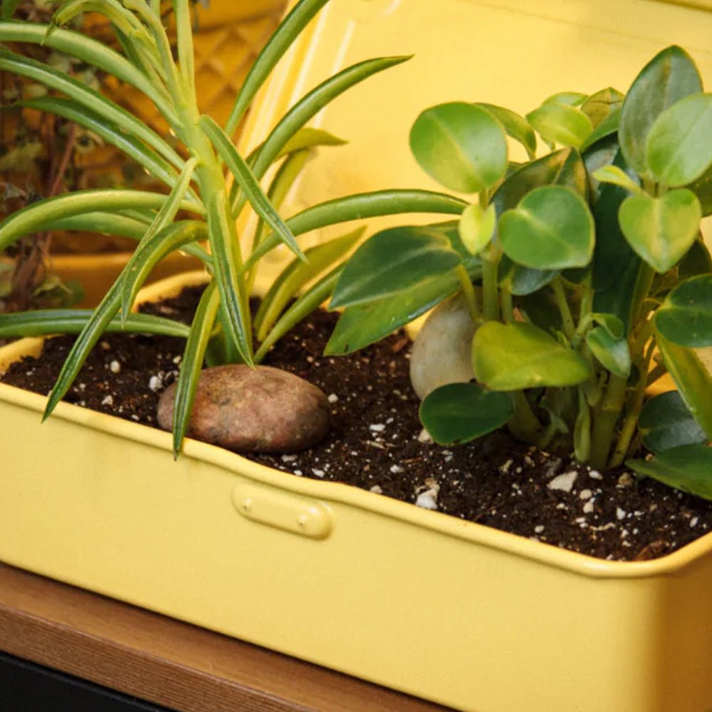 Toolbox T-190 Yellow