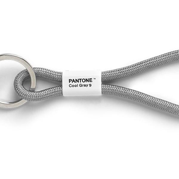 Porte-clés court Pantone Cool Gray 9