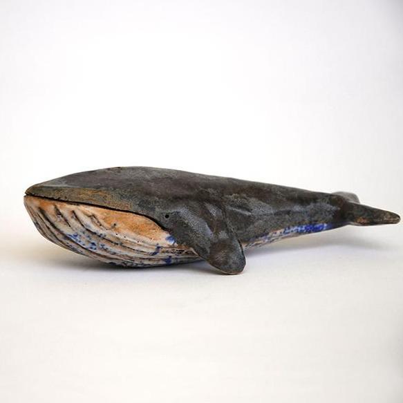 Blue Whale
