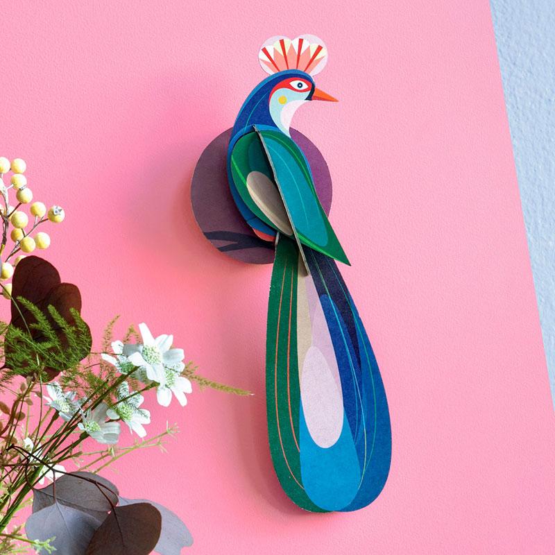 Paradise Bird - Banda