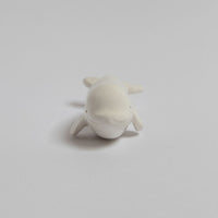 Beluga