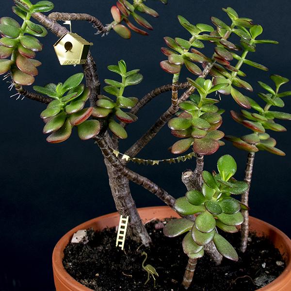 Petit nichoir pour vos plantes
