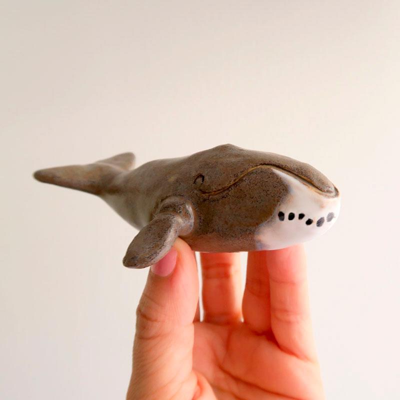 Ballena Boreal