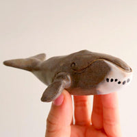 Tánata Ballena Boreal