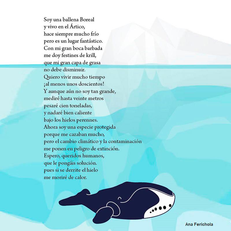 Ballena Boreal