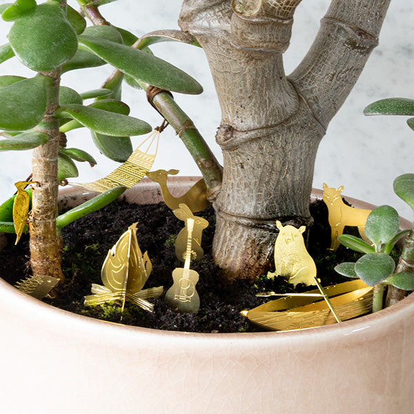 Pequeño Camping Para Tus Plantas