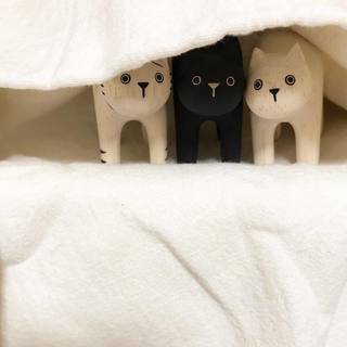 Pole Pole Wooden Animal White Cat