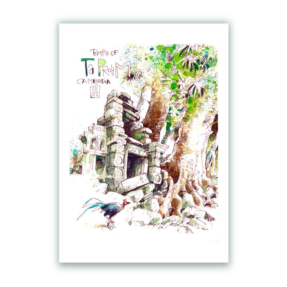 Gallina Ta Prohm Angkor Camboya Impresión Giclée A4