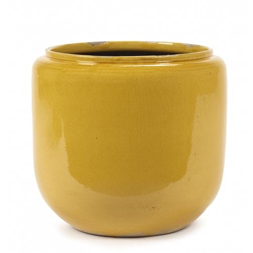 Flower Pot Costa L Honey