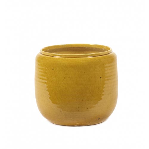 Flower Pot Costa S Honey