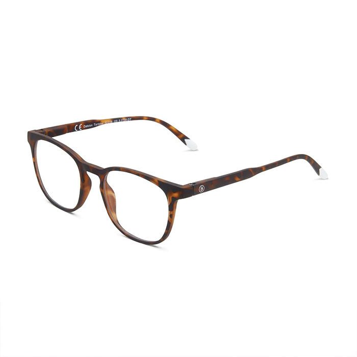Dalston - Tortoise (+1,5)