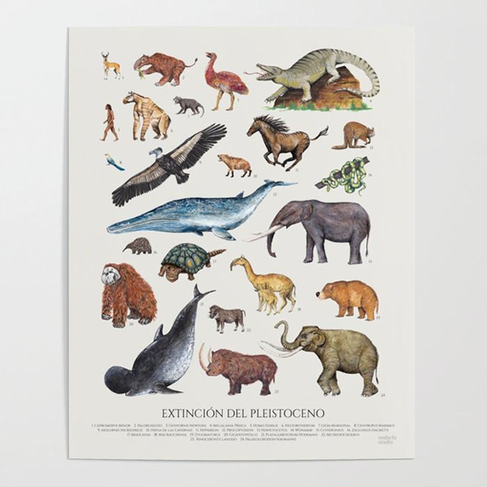 Affiche sur l'extinction du Pléistocène