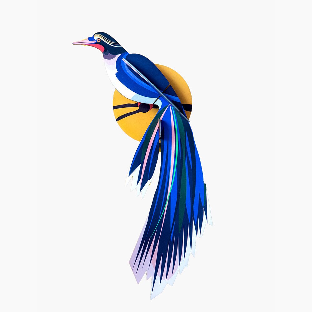 Fleurs d'oiseau de paradis