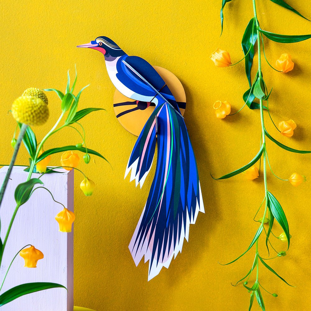 Fleurs d'oiseau de paradis