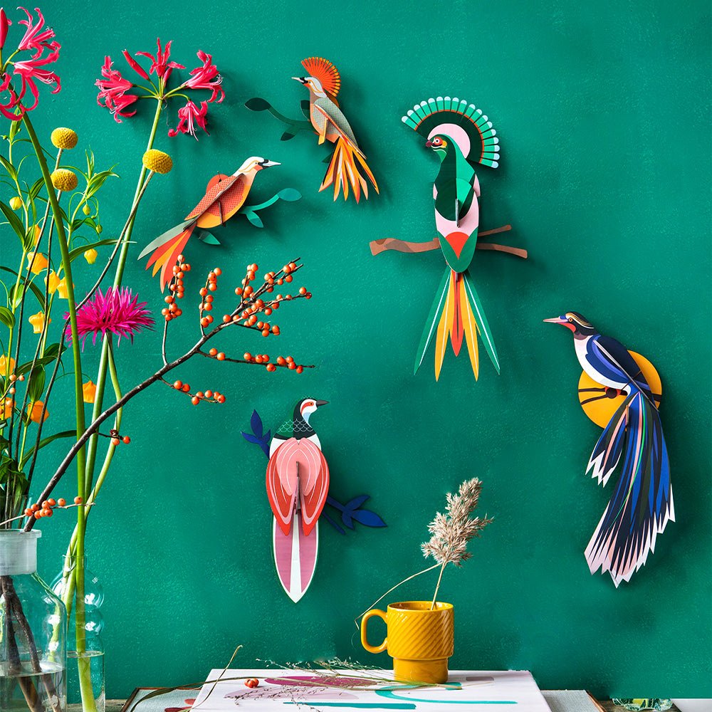 Fleurs d'oiseau de paradis