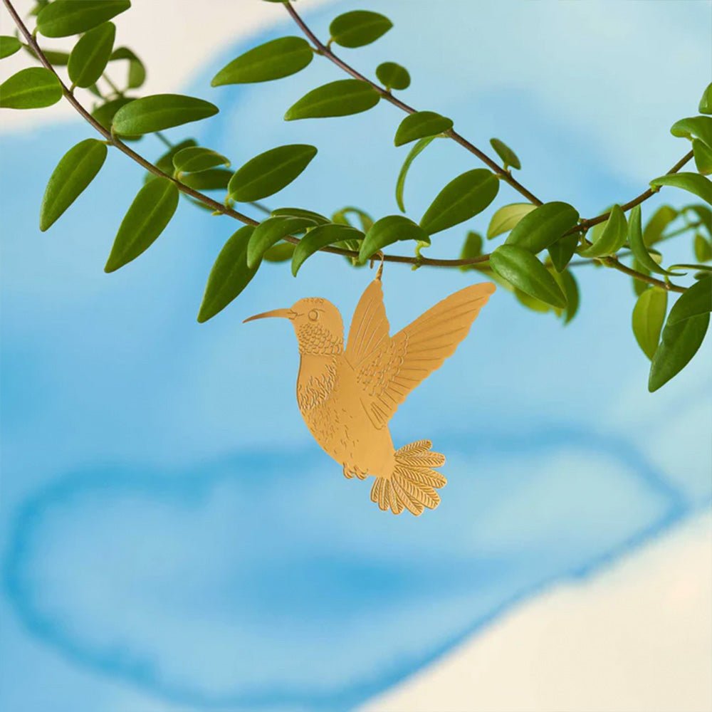 Colibri Plante Animal