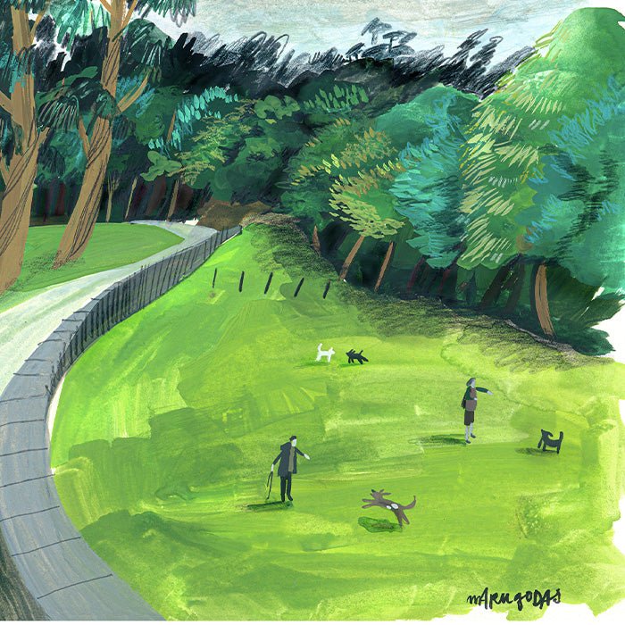 Jugando con los Perros Impresión Giclée A4