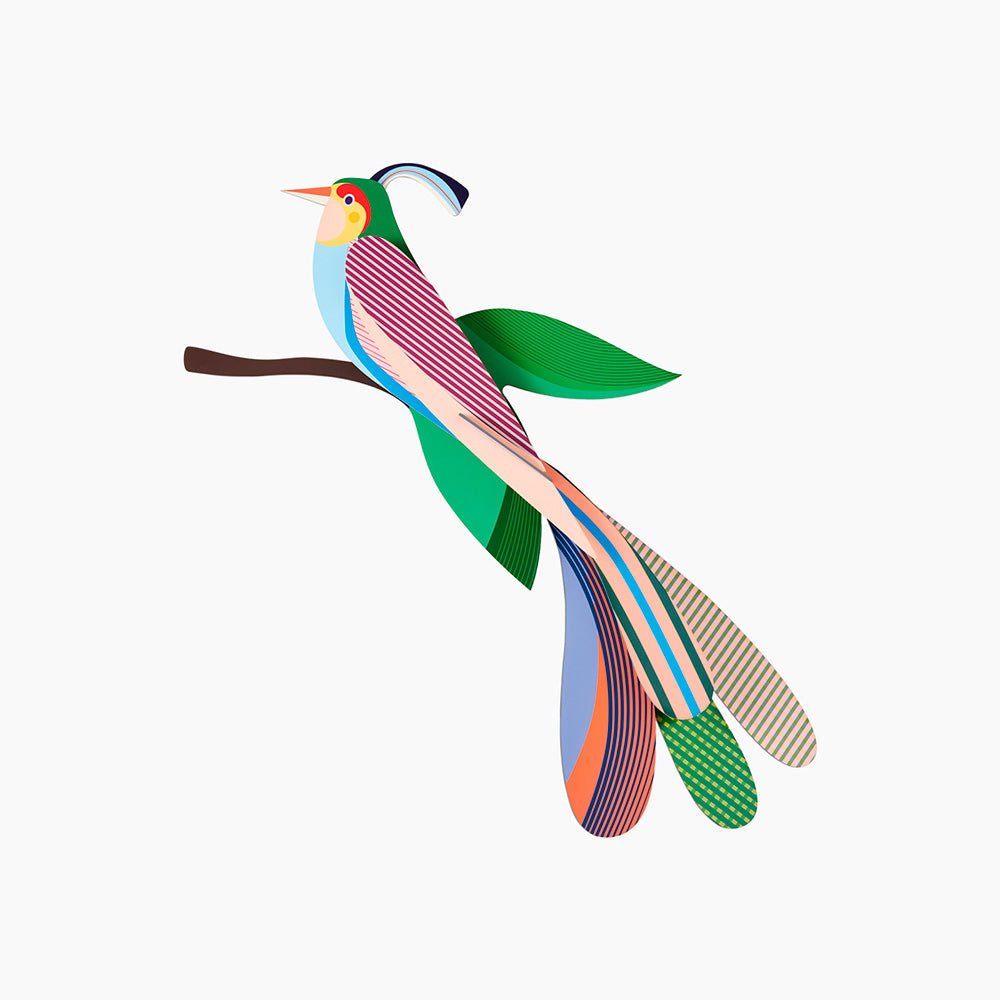 Paradise Bird - Maya