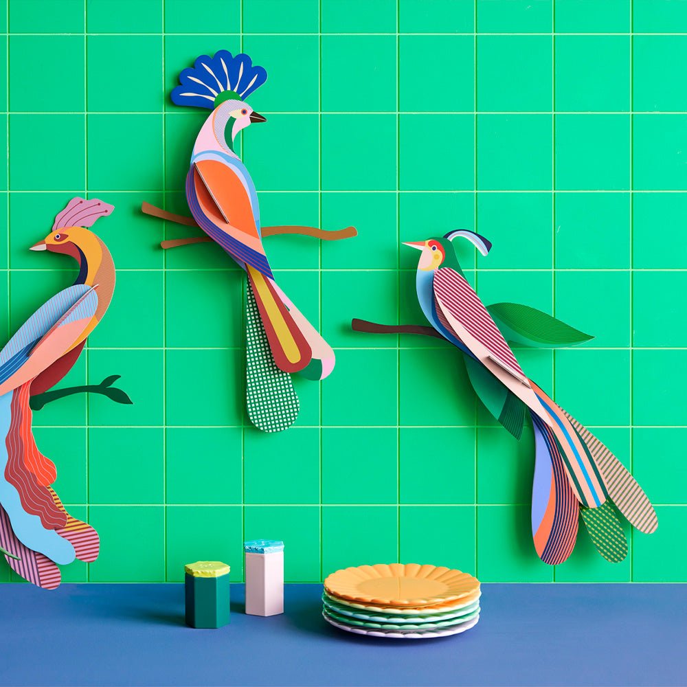 Paradise Bird - Maya