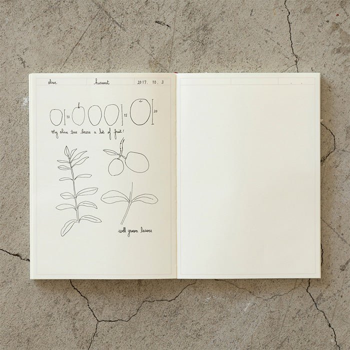 MD Notebook Journal A5 Cadre