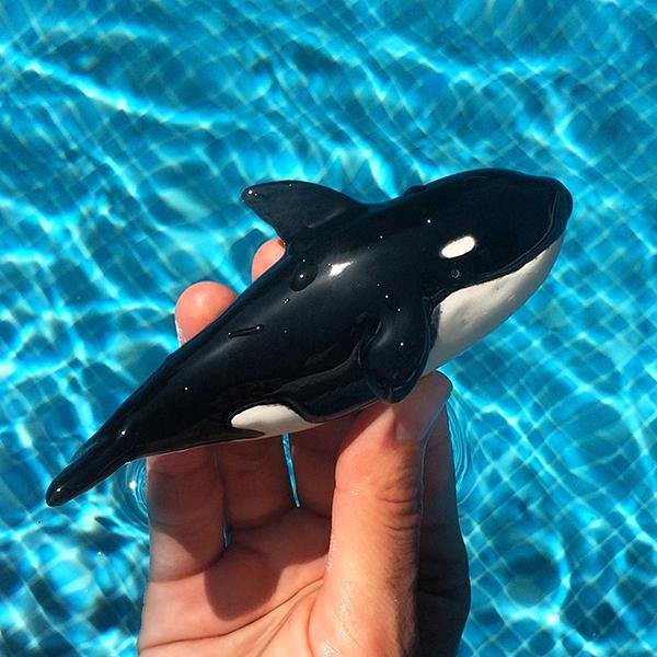 Killer Whale