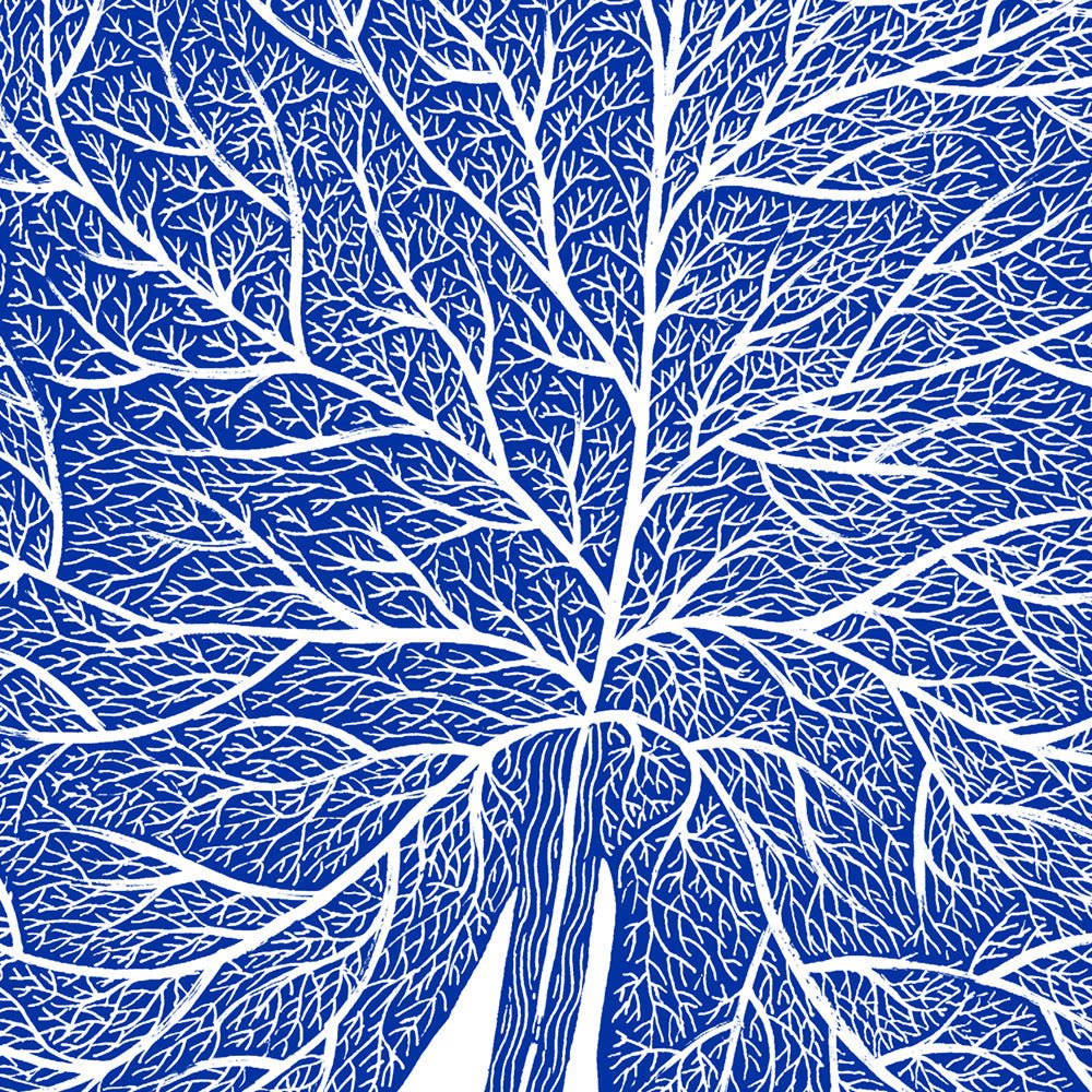 Papel de Agua 02 Giclée Print