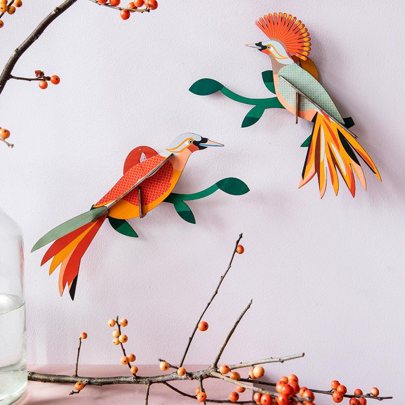 Paradise Bird - Obi