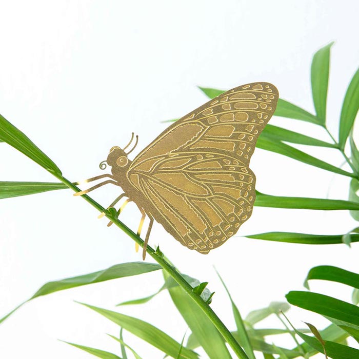 Animal pour Plantes Papillon