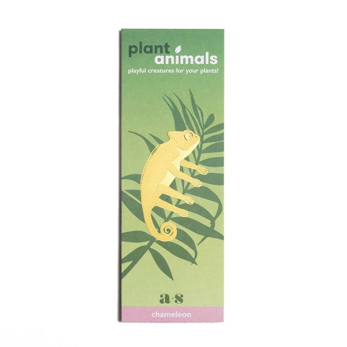 Animal pour plantes Caméléon