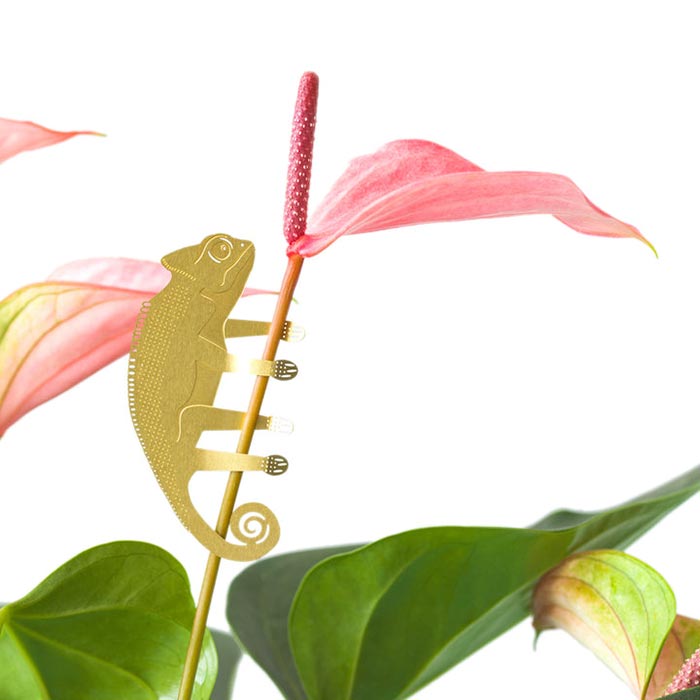 Animal pour plantes Caméléon