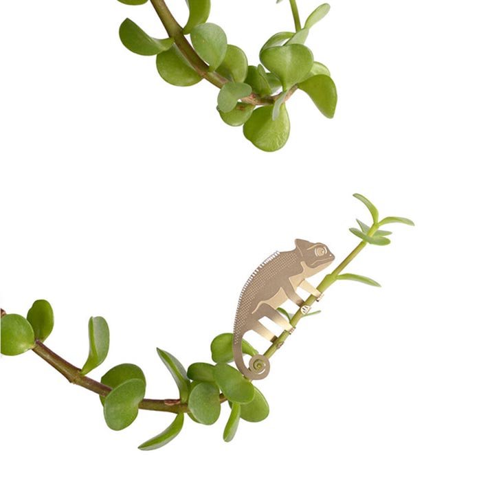 Animal pour plantes Caméléon