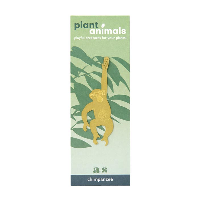 Animal pour les plantes Chimpanzé