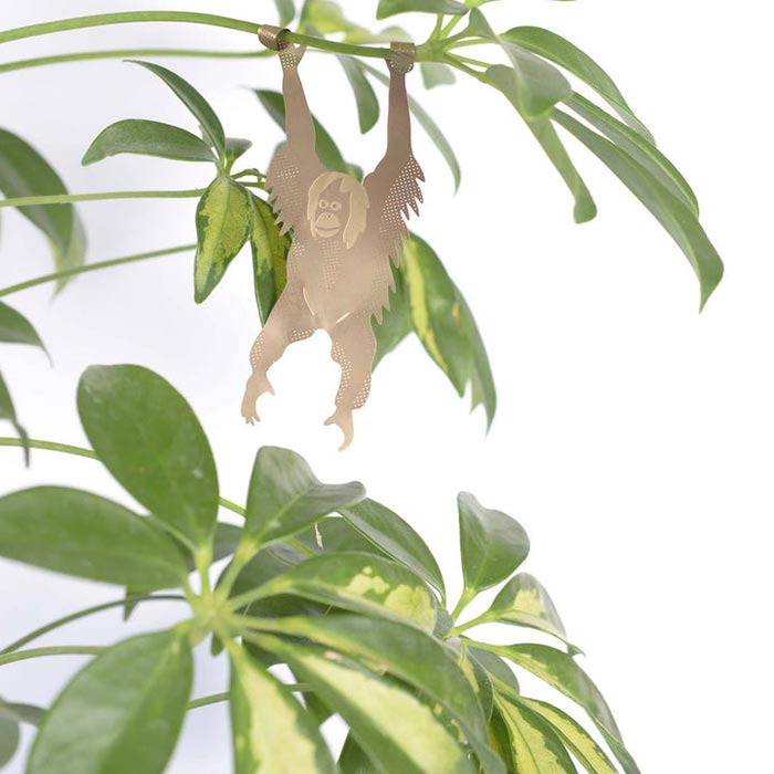 Animal pour les plantes Orang-outan