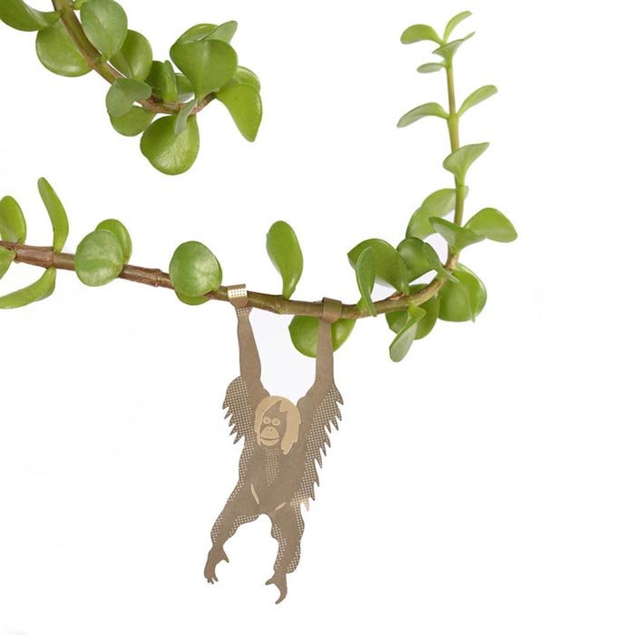 Animal pour les plantes Orang-outan
