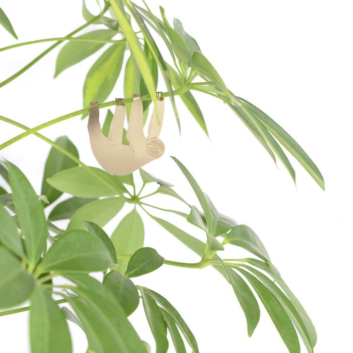 Animal para Plantas Perezoso