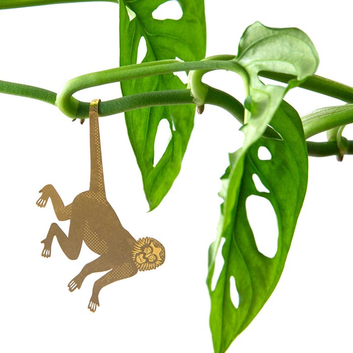 Animal para Plantas Mono Araña
