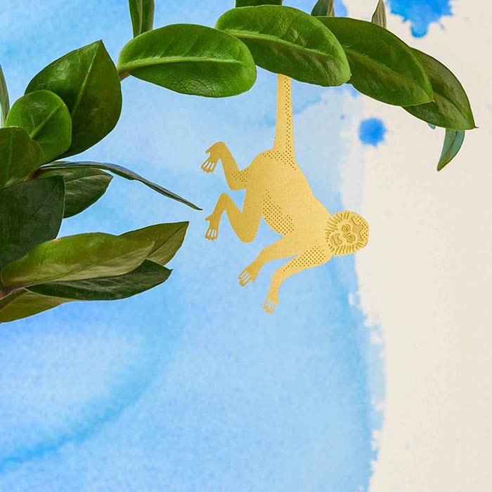 Animal pour les plantes Singe-araignée