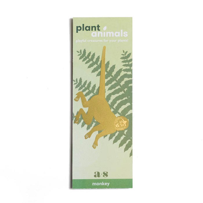 Animal pour les plantes Singe-araignée