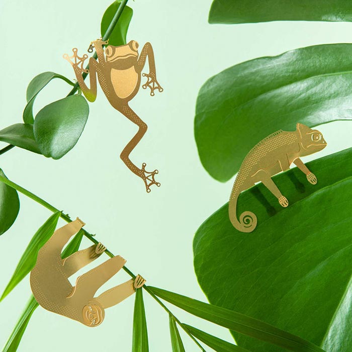 Animal pour les plantes Rainette arboricole