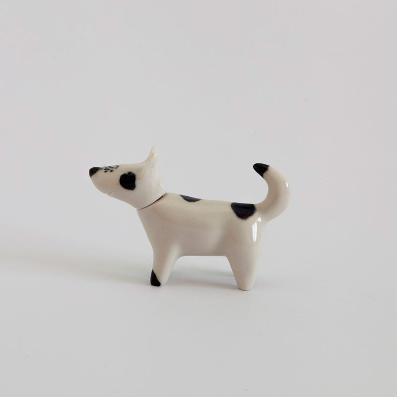 Petit chien Panchito