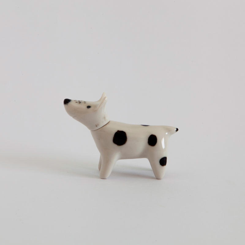 Petit chien Panchito
