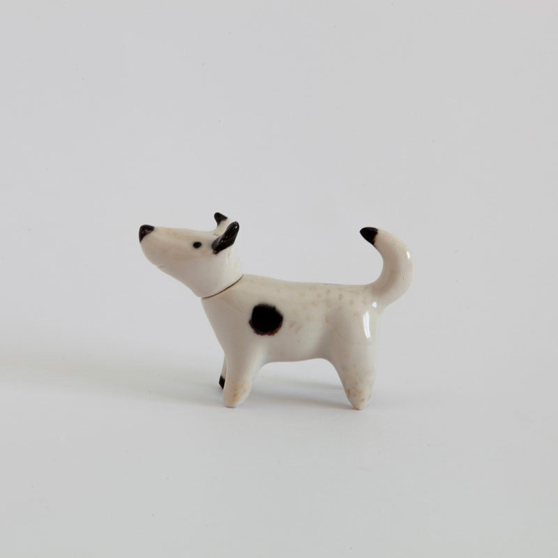 Petit chien Panchito