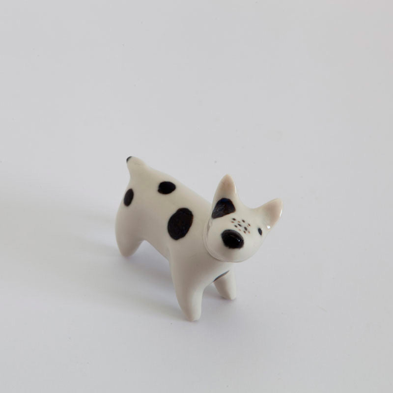 Petit chien Panchito